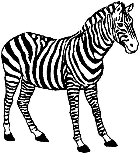 Free Printable Zebra